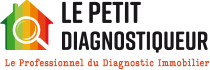 logo lepetitdiag